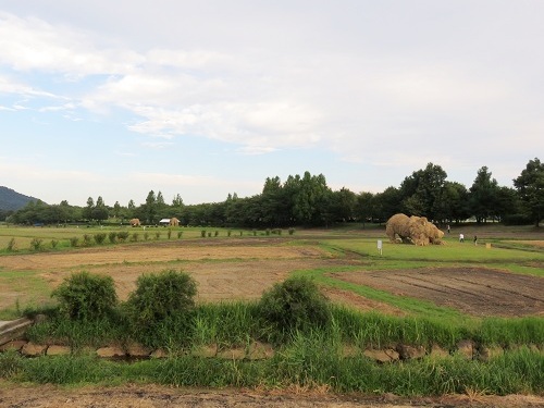 c0084117_20482223.jpg