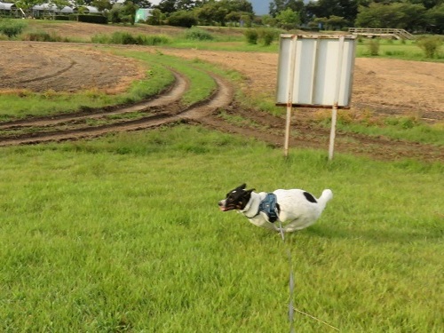 c0084117_21261734.jpg