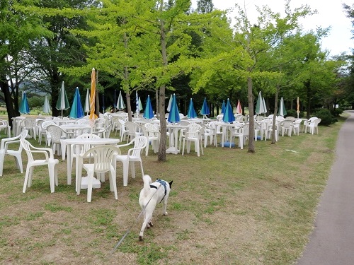 c0084117_2132359.jpg