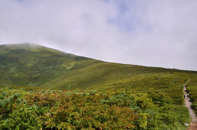 e0349817_21361664.jpg