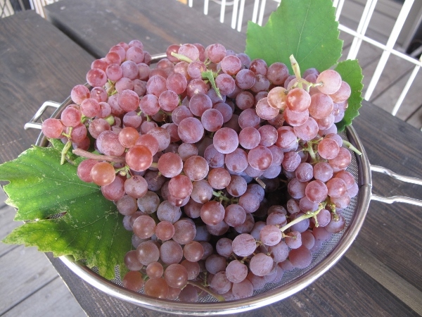 f0143123_10004457.jpg