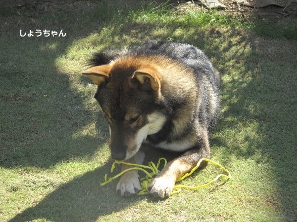 f0143123_10011526.jpg