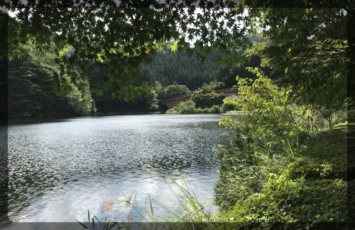 e0136424_19251251.jpg