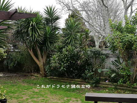 d0042827_20144039.jpg