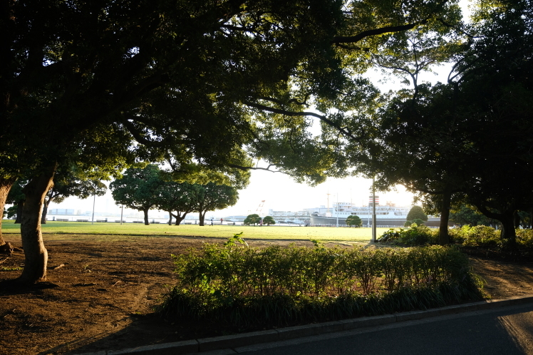 f0363628_12203906.jpg