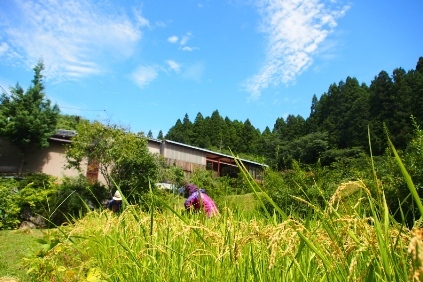 b0185232_21012825.jpg