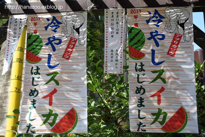 b0245634_173188.jpg