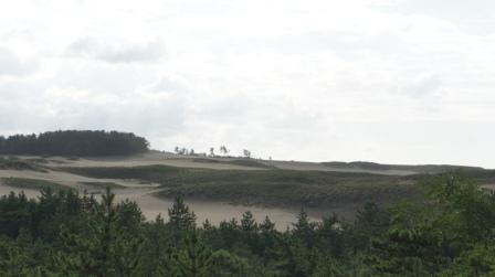e0166734_19383611.jpg