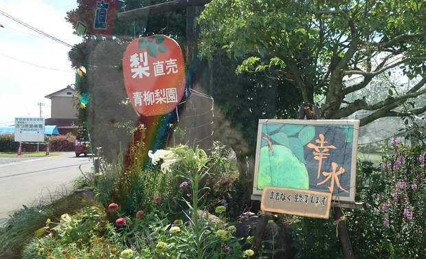 b0153550_14521447.jpg