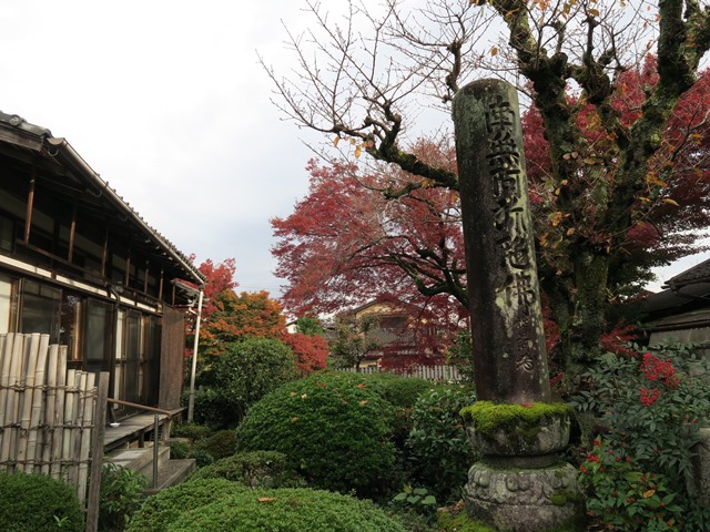 e0017051_22103644.jpg
