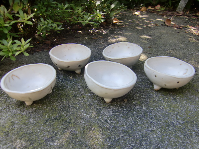 c0168053_17082010.jpg