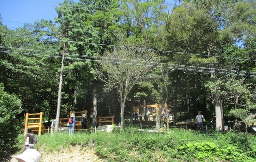 a0166454_17090677.jpg
