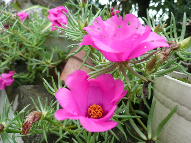 c0043055_16571287.jpg