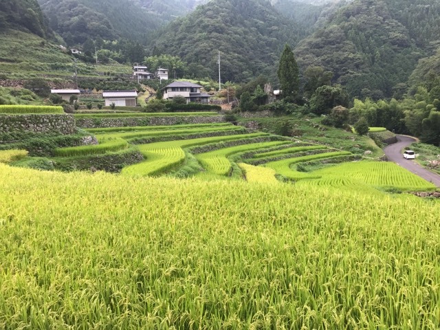 d0156557_09510557.jpg