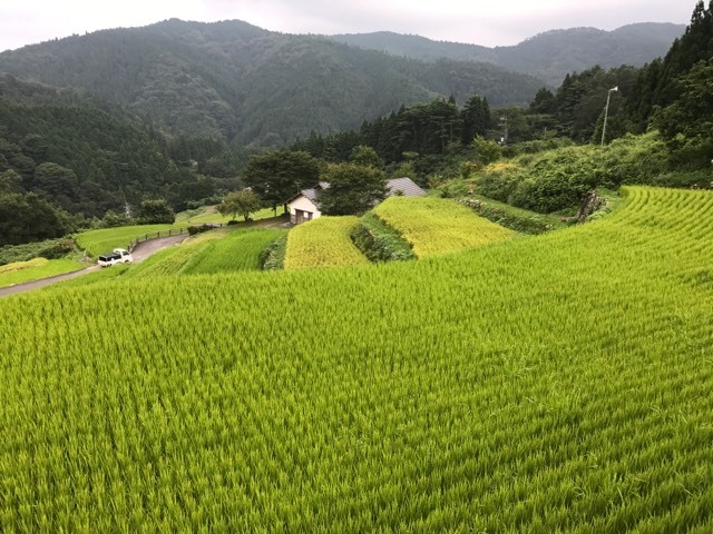 d0156557_09523417.jpg