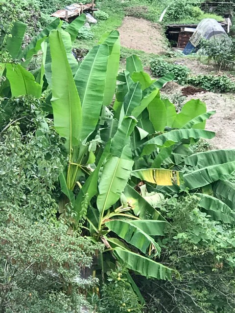 d0156557_09560949.jpg