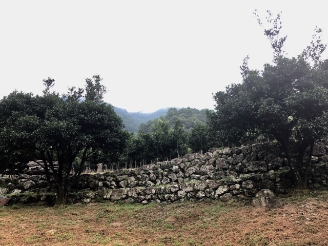 d0156557_10353631.jpg