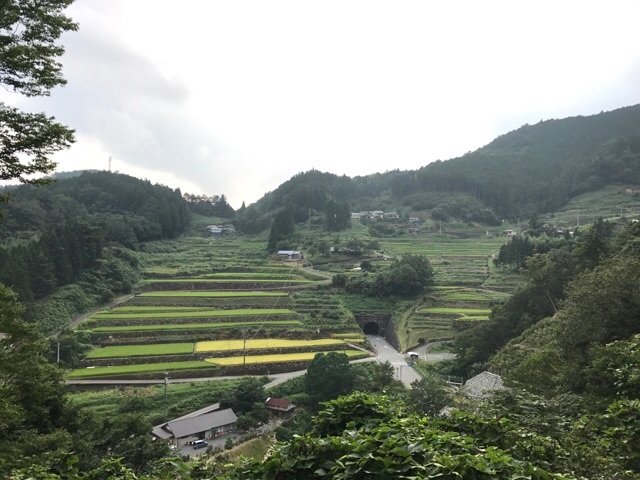 d0156557_10361878.jpg
