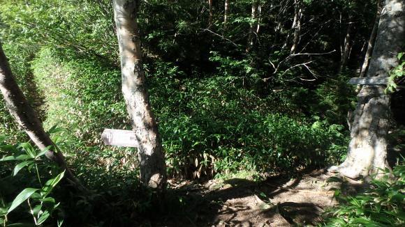 b0050067_21284193.jpg