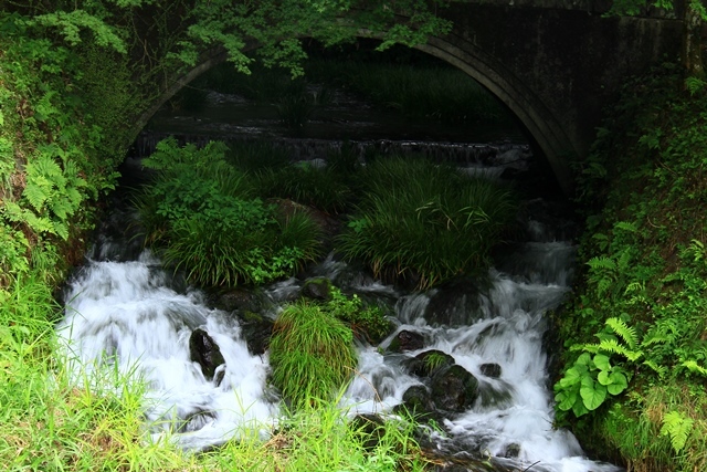 d0126577_10361071.jpg