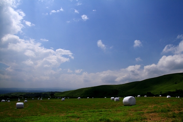 d0126577_10400135.jpg