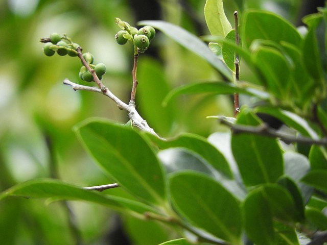 f0378979_16014475.jpg