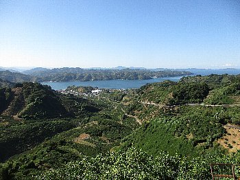 f0003283_10044129.jpg