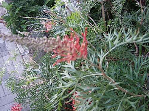 e0086885_19275347.jpg