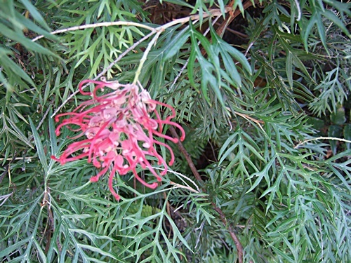e0086885_19380089.jpg
