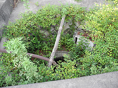 e0066586_1140090.jpg
