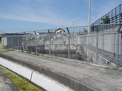 e0066586_1140637.jpg