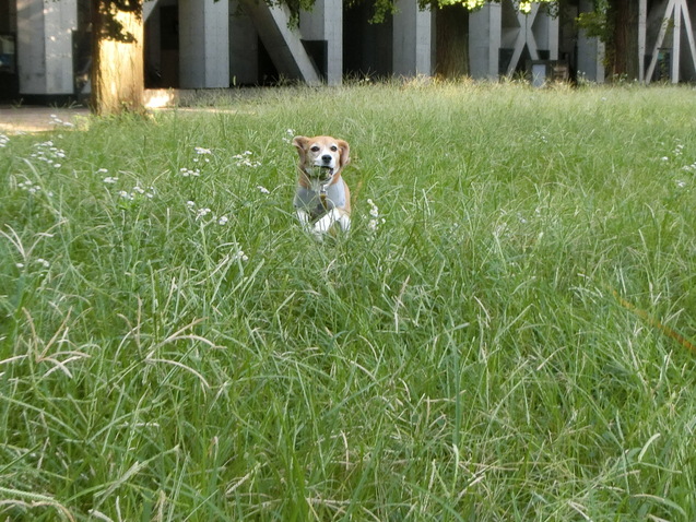 a0319693_8252344.jpg