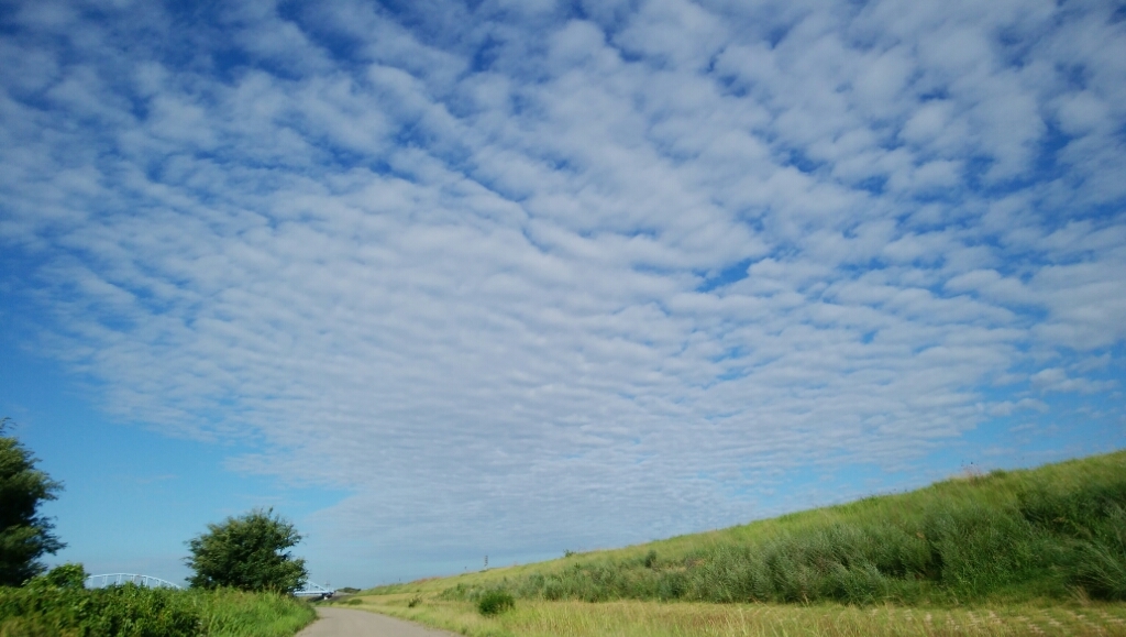 a0348193_13261400.jpg