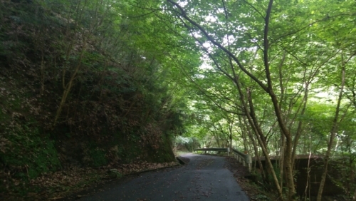 a0348193_13262906.jpg