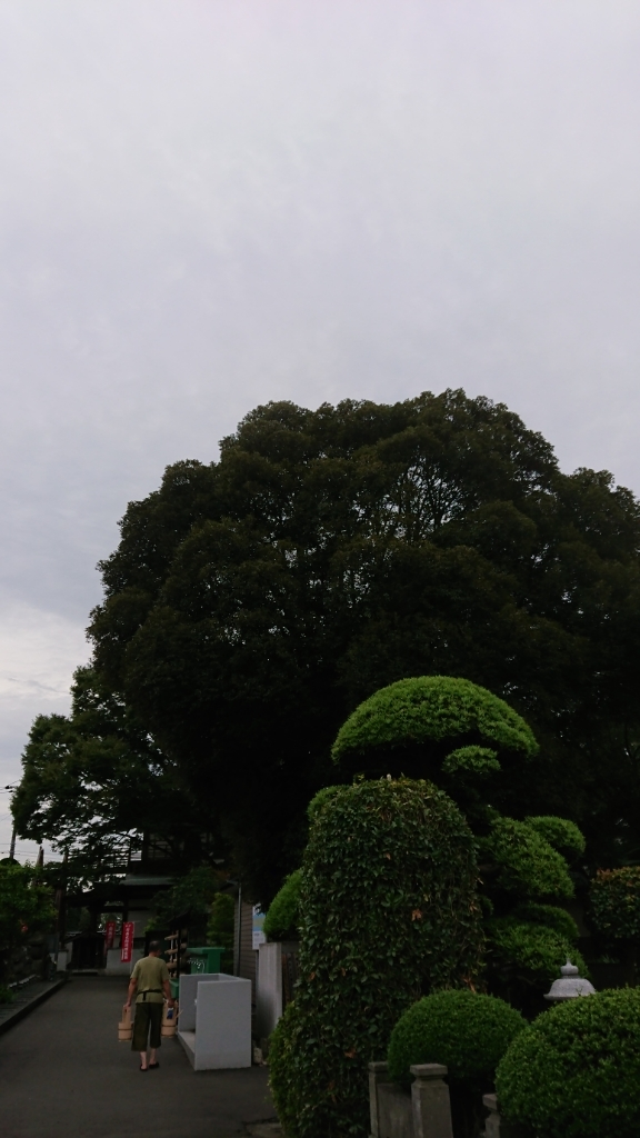 a0265497_16504370.jpg