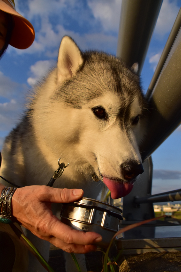 c0049299_16441409.jpg