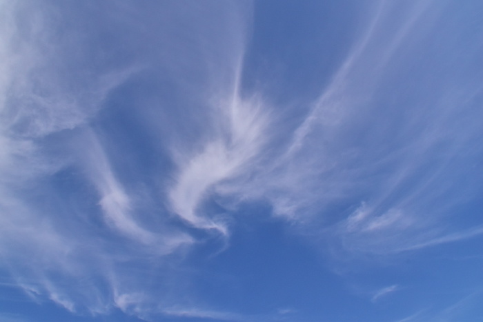 c0049299_16550965.jpg