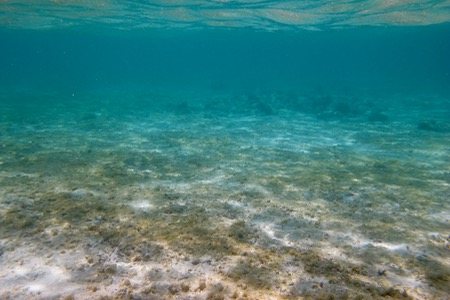 e0338303_1426525.jpg