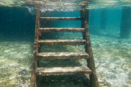 e0338303_142713.jpg