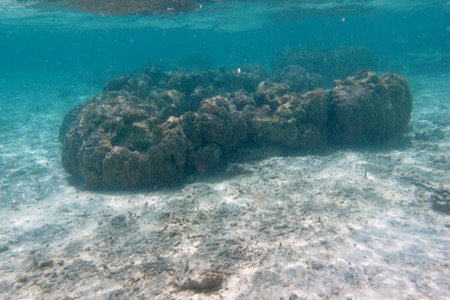 e0338303_14271473.jpg