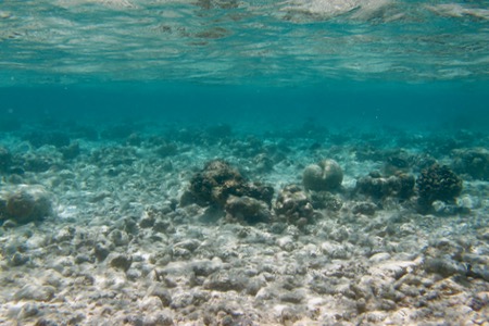 e0338303_1427263.jpg