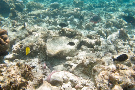 e0338303_14273450.jpg