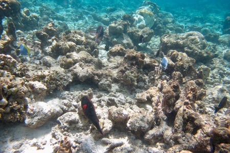e0338303_14273779.jpg