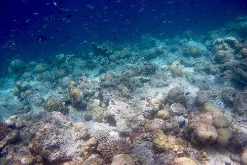 e0338303_14274268.jpg