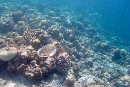 e0338303_14291097.jpg