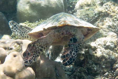 e0338303_143003.jpg