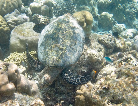 e0338303_1430169.jpg