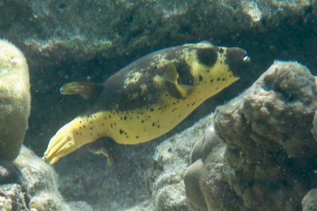 e0338303_14311039.jpg