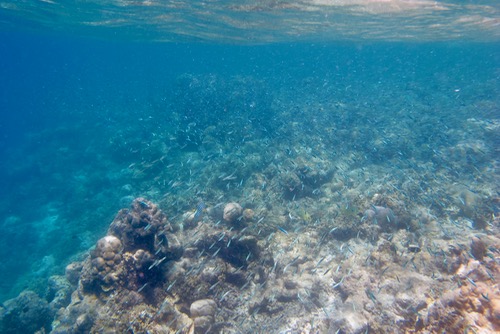 e0338303_14401649.jpg