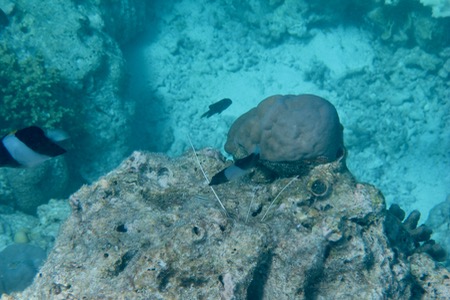 e0338303_14402157.jpg